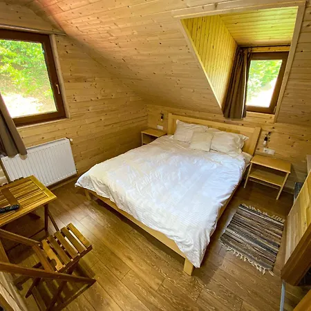 Pensiunea La Rus I Si Ii Holiday home *