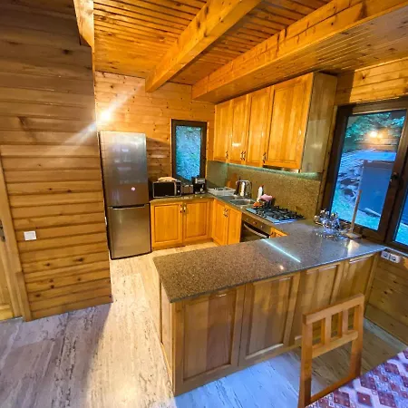 Pensiunea La Rus I Si Ii Holiday home *
